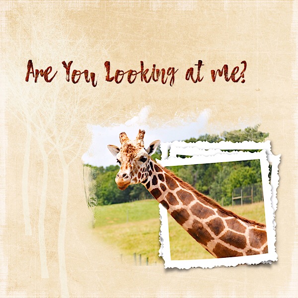 Are You Looking at Me?