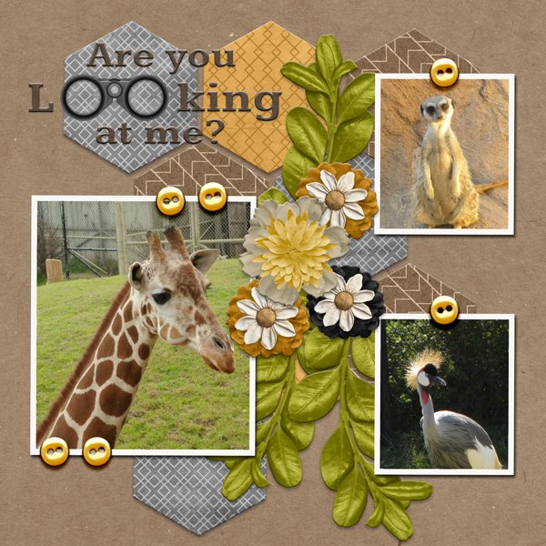 Are you looking at me?