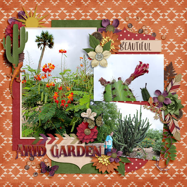 Arid Garden
