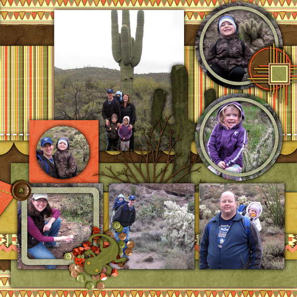 Arizona 2010