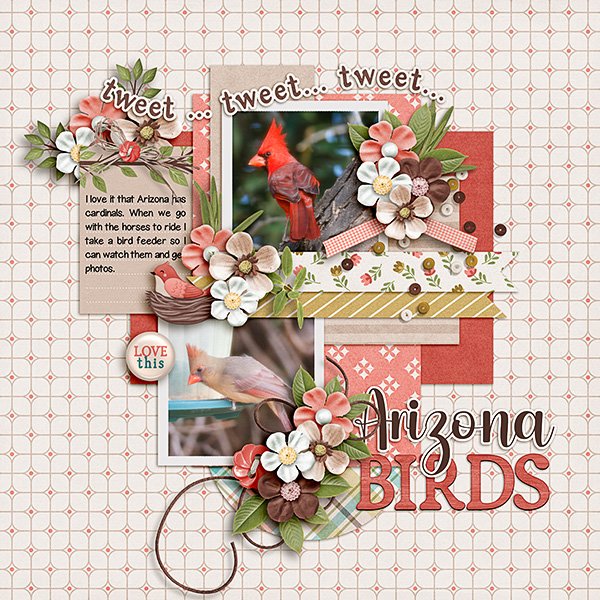Arizona-Birds.jpg