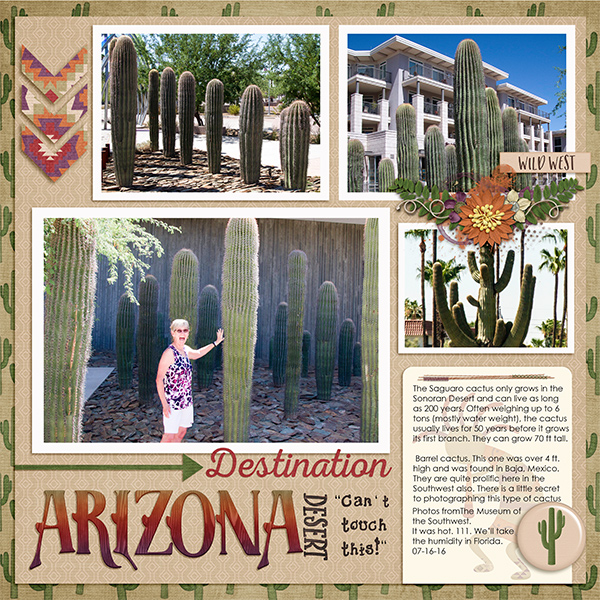 Arizona Cactus- Cant touch this