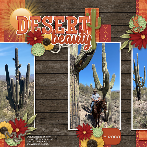 Arizona-copy1