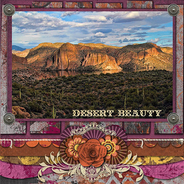 Arizona Desert Beauty