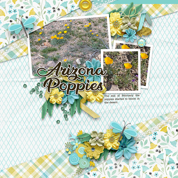 Arizona-Poppies