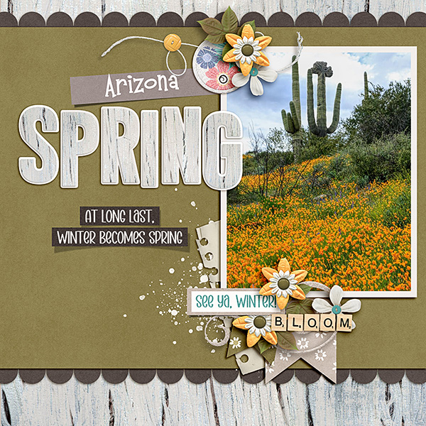 Arizona-Spring