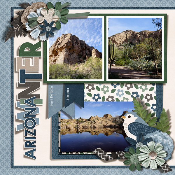 Arizona Winter