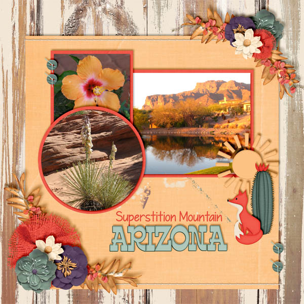 Arizona