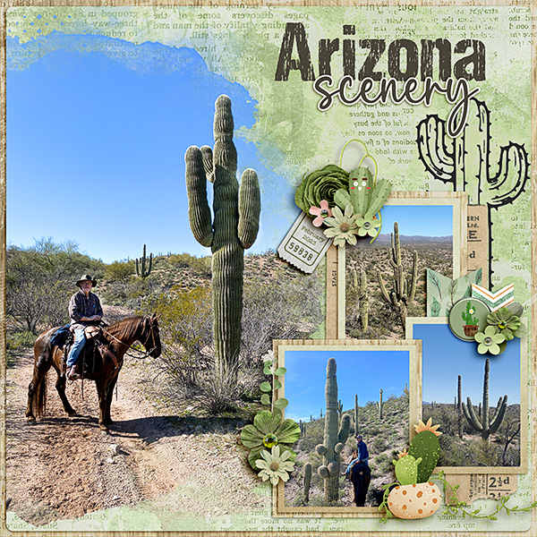 Arizona