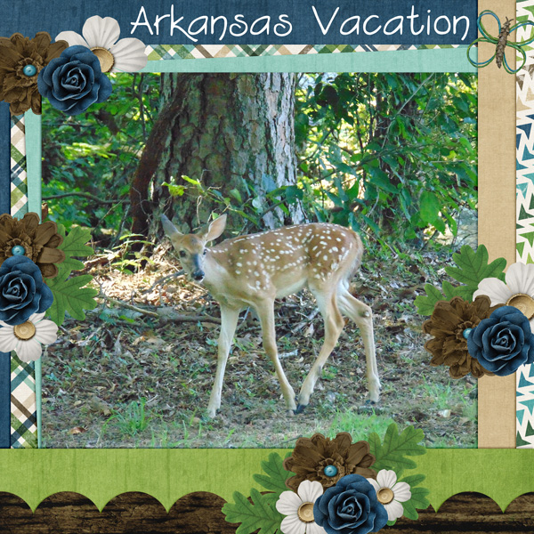 Arkansas Vacation
