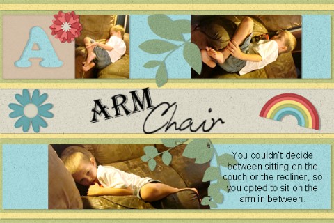 Arm Chair