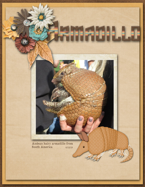 Armadillo