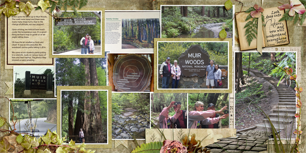 Around Muir Woods