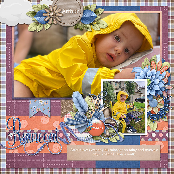 Arthur and the Raincoat