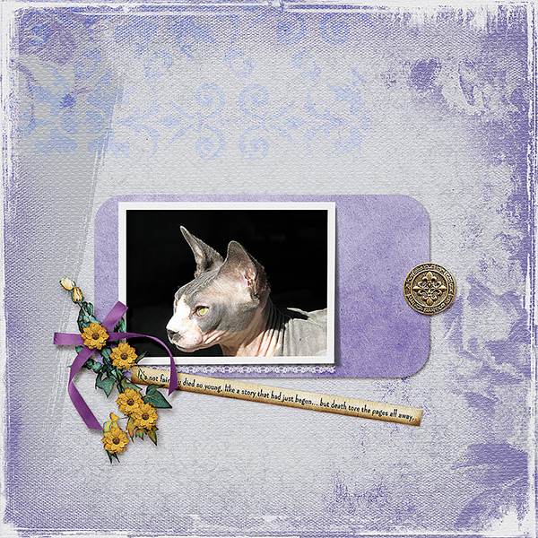 Arwen