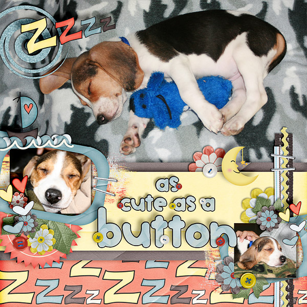 as cute as a button