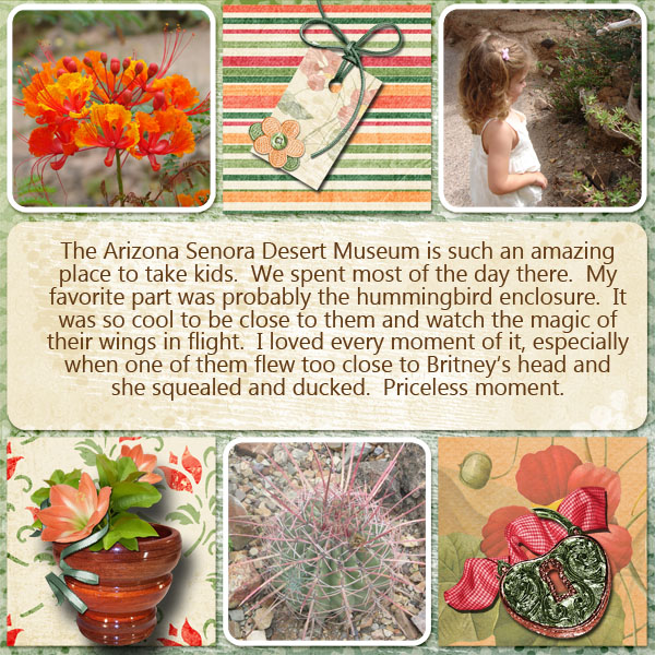 AS Desert Museum