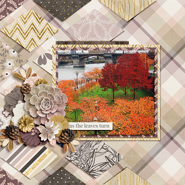 As the Leaves Turn