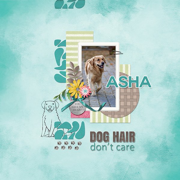 Asha