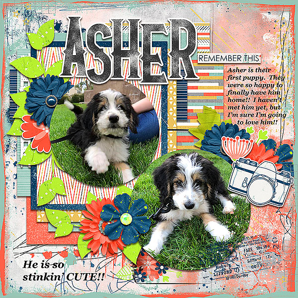 Asher