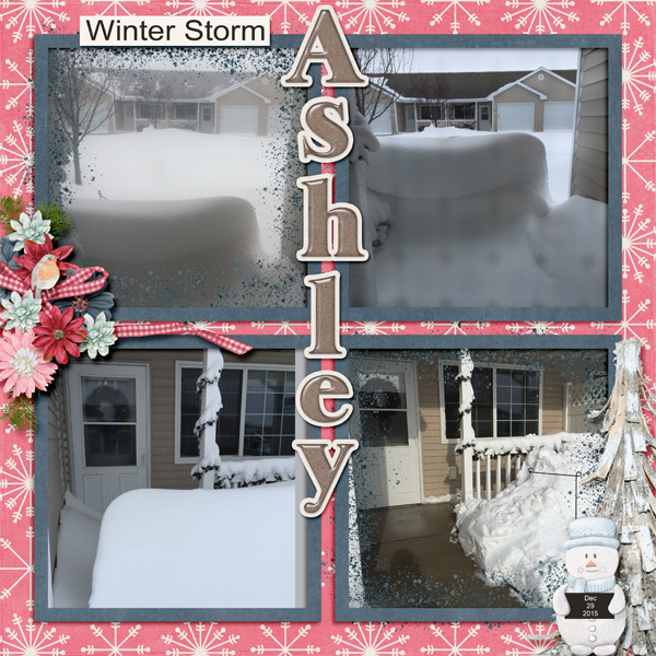 Ashley 2015