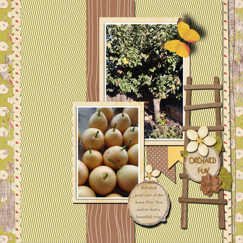 Asian Pears 2
