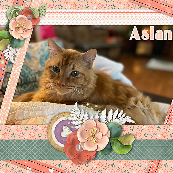 Aslan