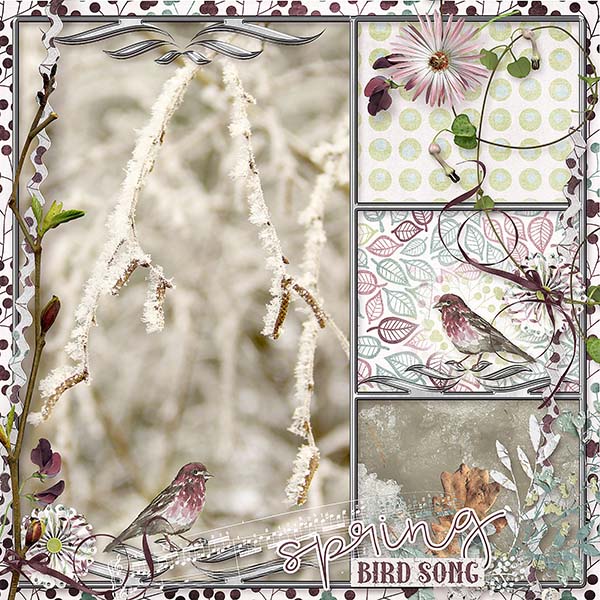 asongofspring