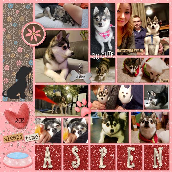 Aspen