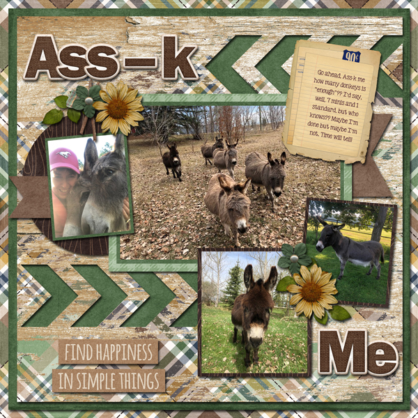 Ass-kme