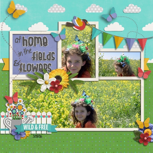 At Home in the Fields and Flowers