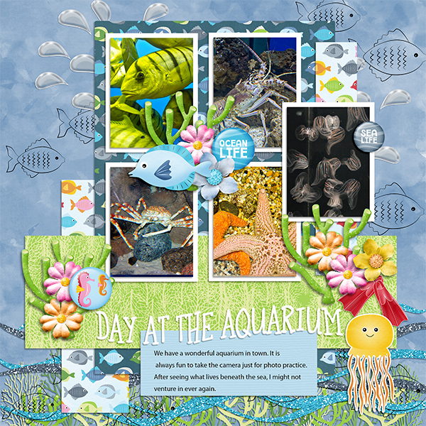 At the Aquarium
