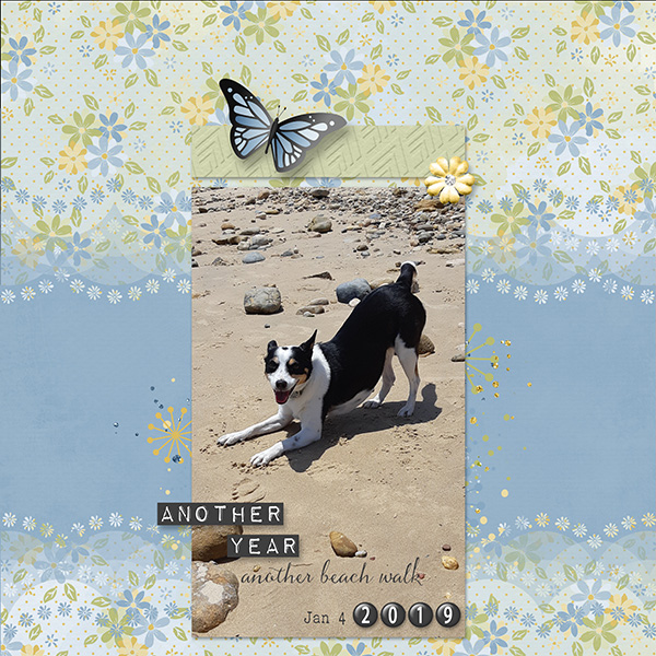 At the Beach