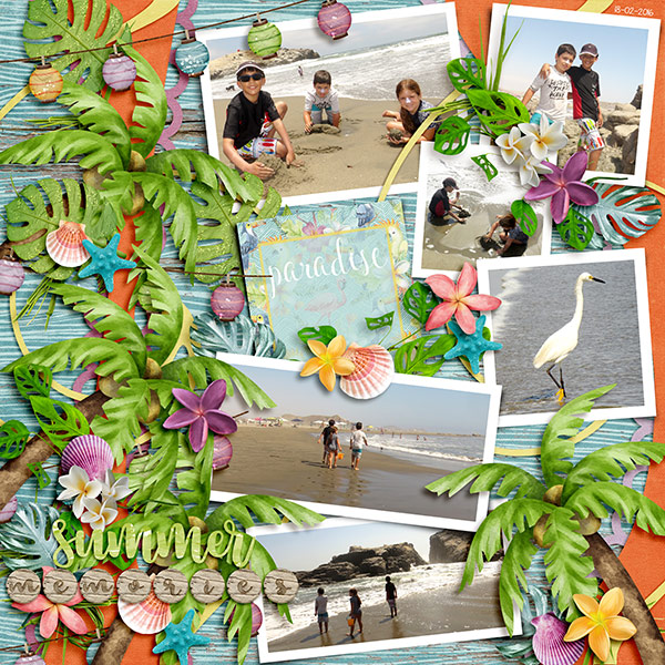 at the beach