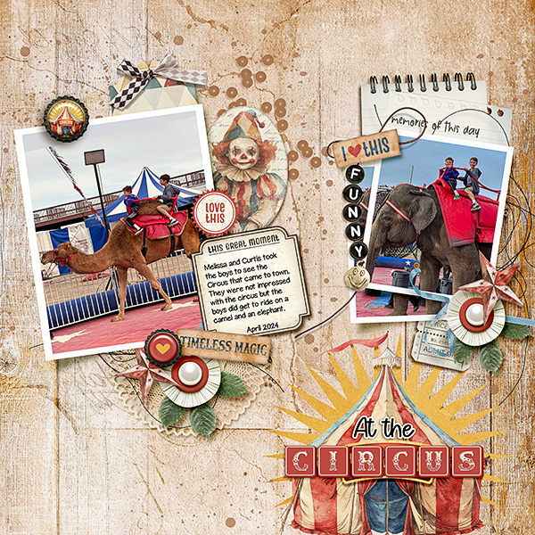 At-the-Circus