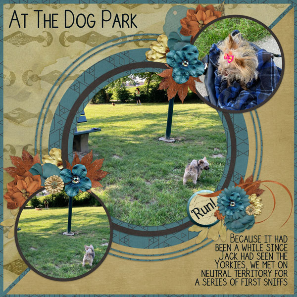 At The Dog Park