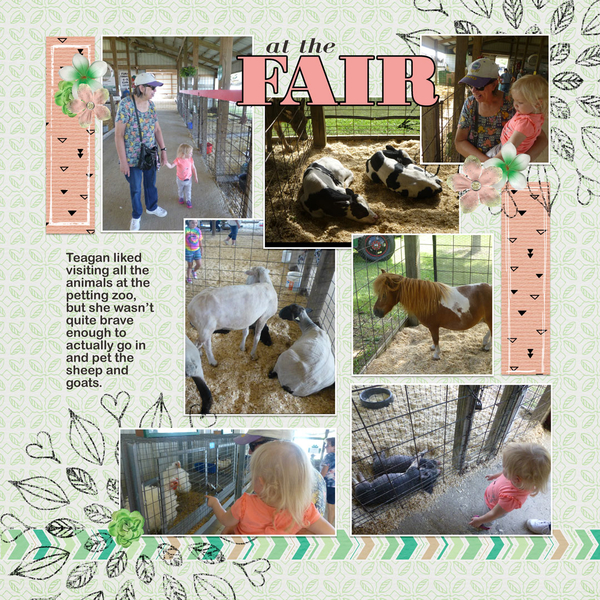 At the Fair