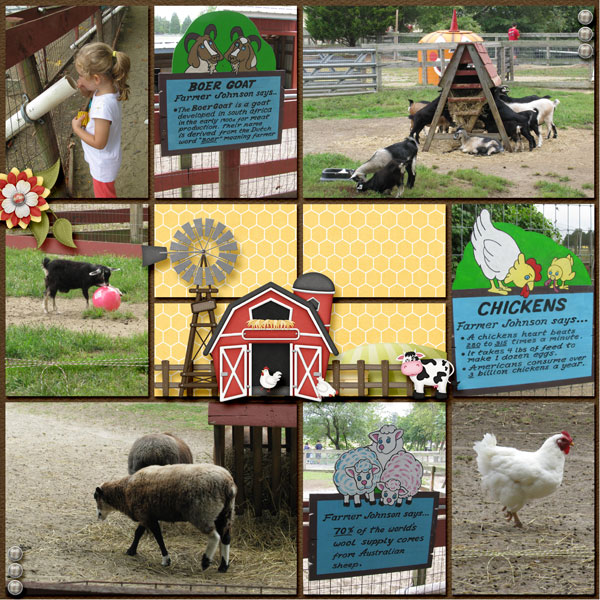 At The Farm