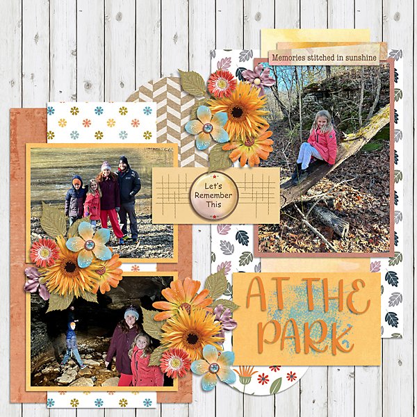 At-The-Park-web.jpg