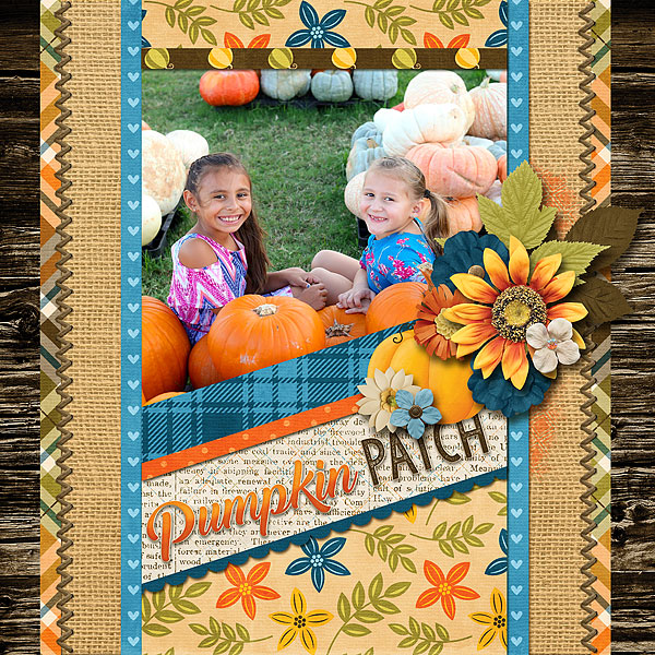 At the Patch