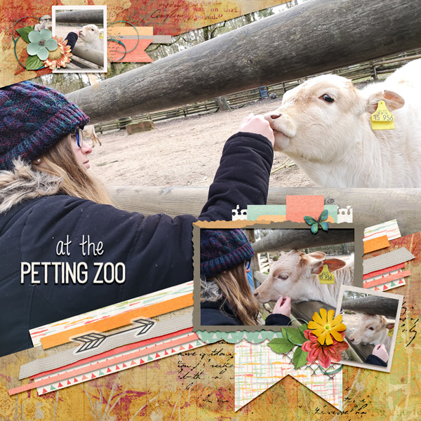 at the petting zoo