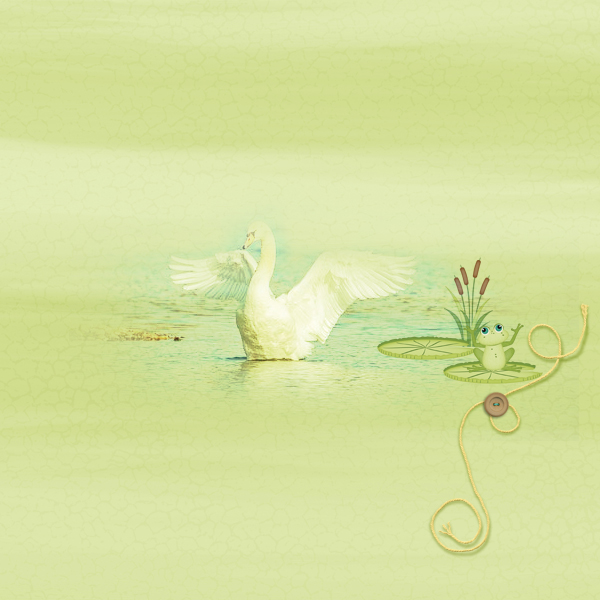 at the pond
