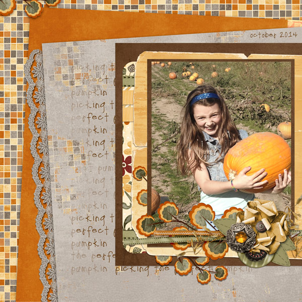 at the pumpkin patch