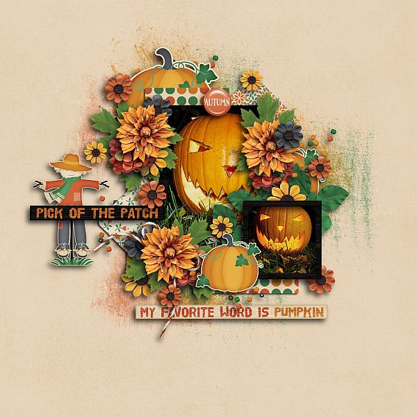 At the pumpkin patch