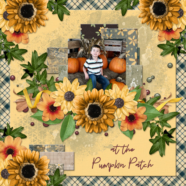 at the Pumpkin Patch