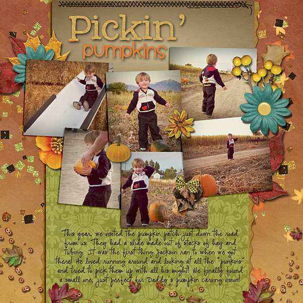 At the Pumpkin Patch