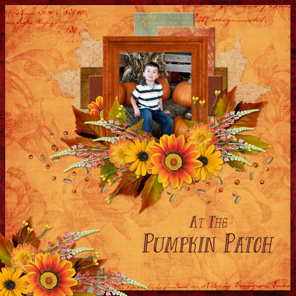 At The Pumpkin Patch