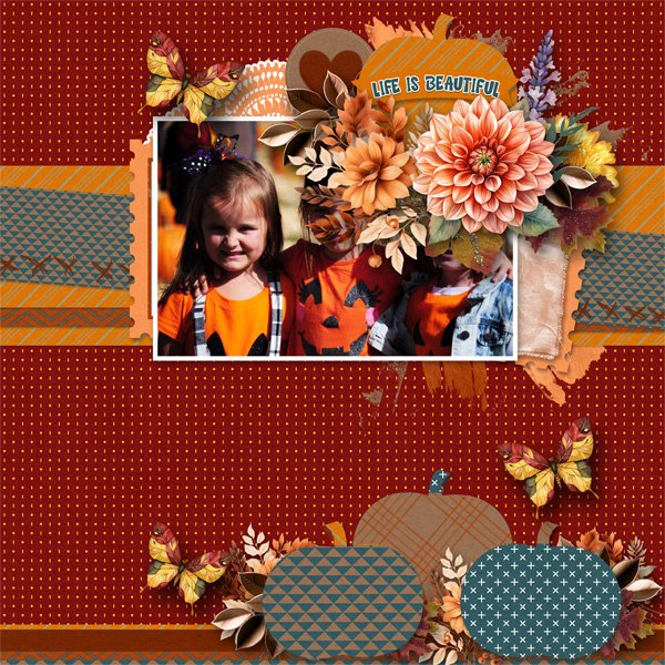 At the Pumpkin Patch