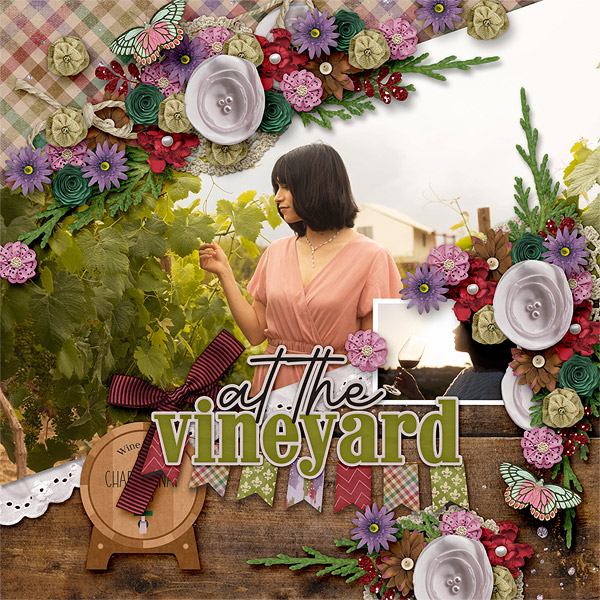 At the Vineyard
