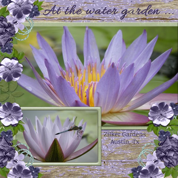 At the water garden...